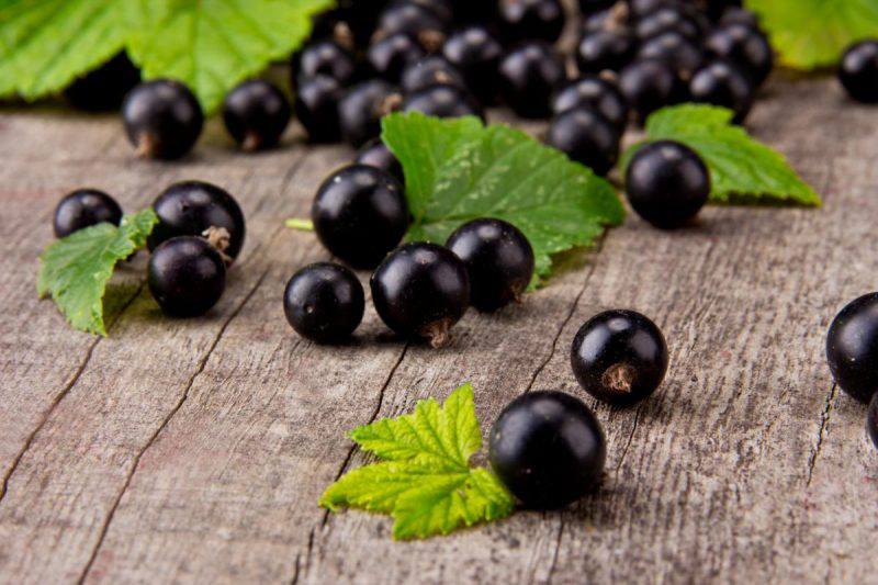 Perché dovresti mangiare il ribes nero